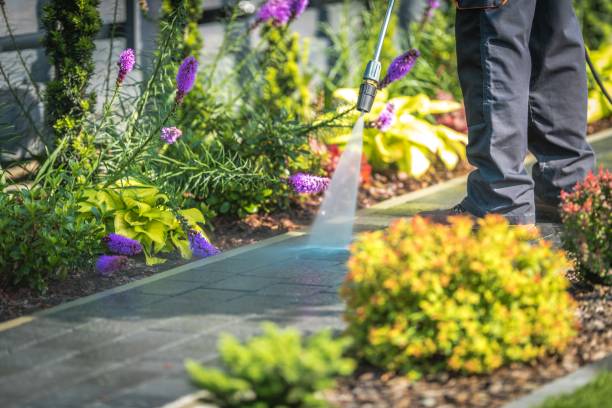 Best Driveway Pressure Washing  in Hotchkiss, CO